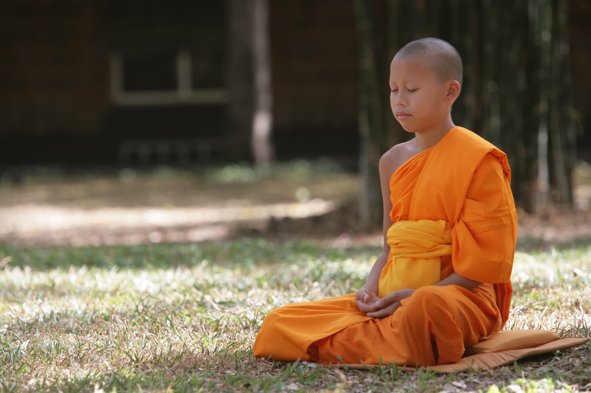 Meditation Classes